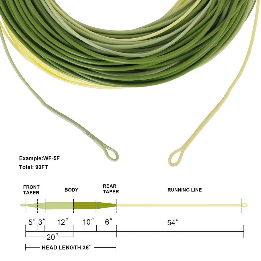 green D-green yellow