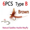 6pcs Brown Type B