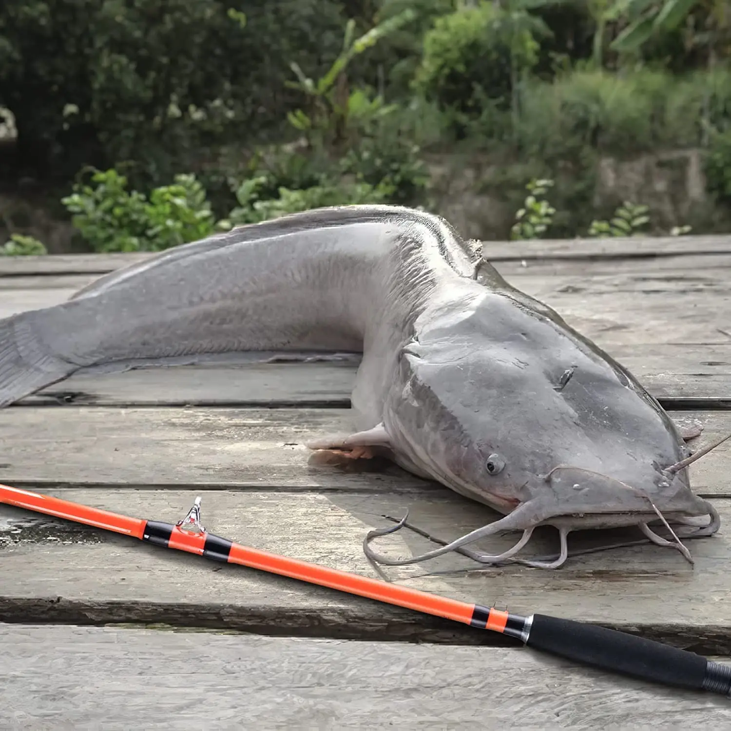 Goture RAIDRR & Anglerbasics caña de pescar de bagre de acción rápida, espacios en blanco de vidrio de alta resistencia, caña de fundición M, varillas sólidas sensibles al poder