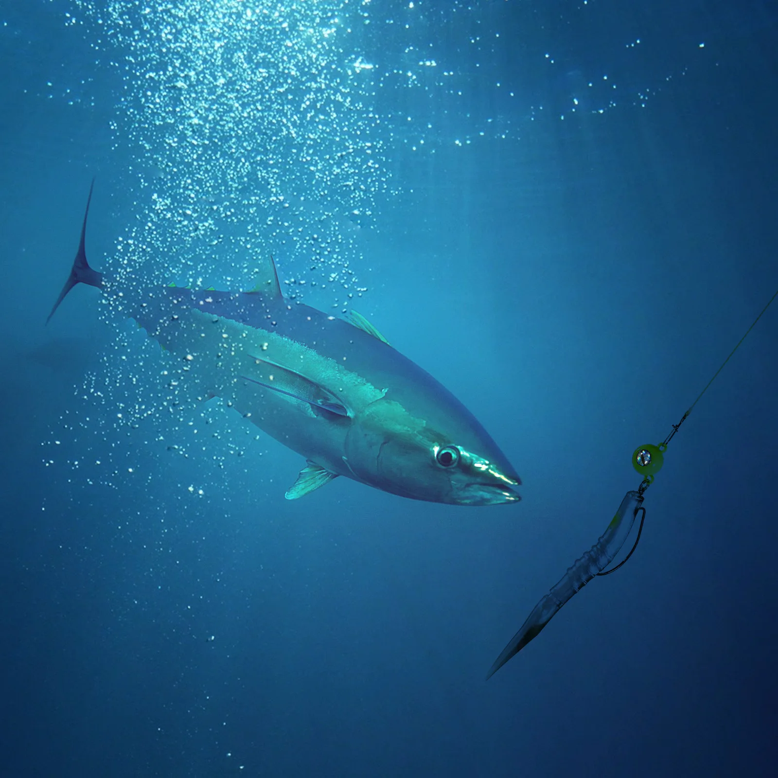 Anzuelos Jig Head EWG Cabeza Redonda – Anti-espinas para Texas Rig