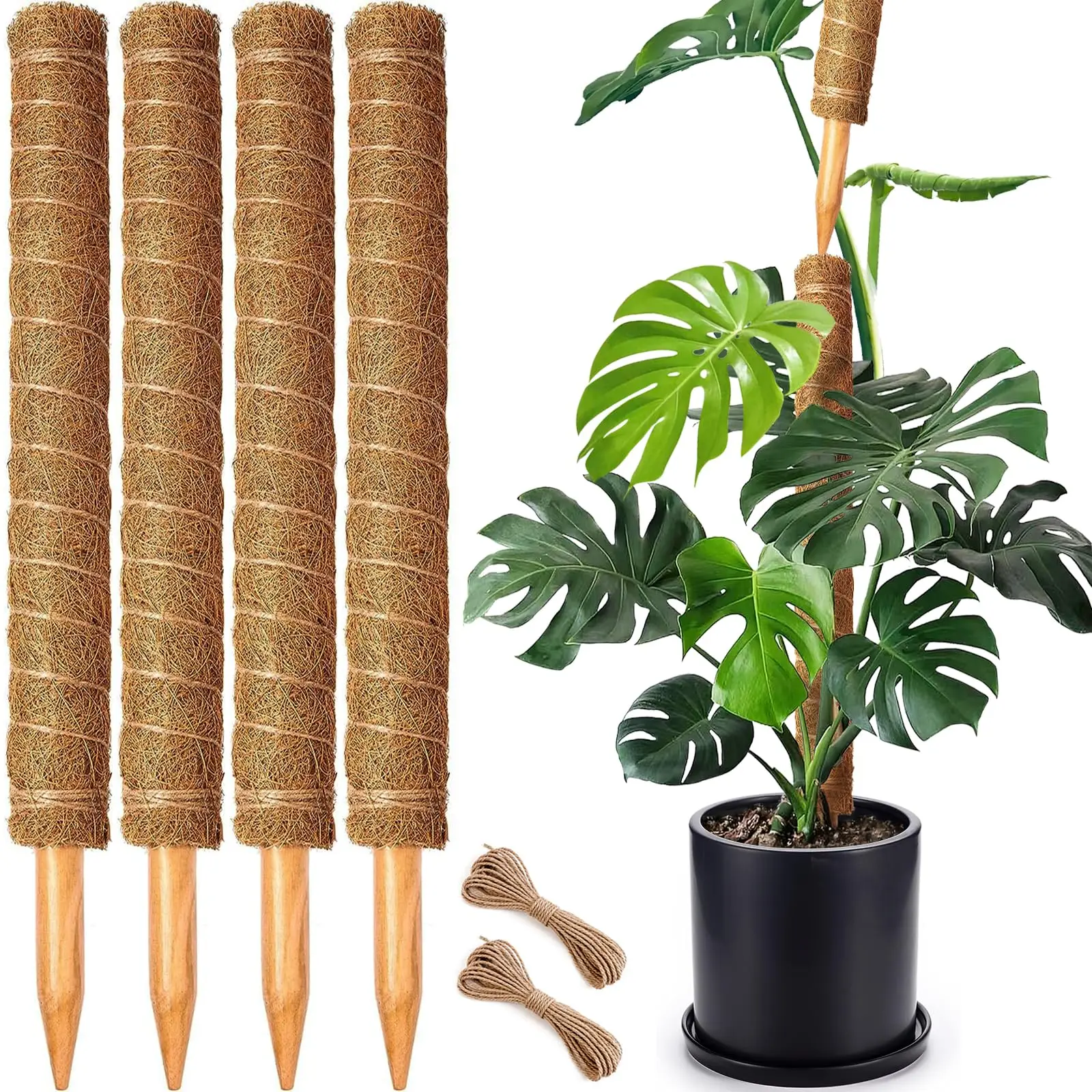 Postes de musgo, poste de musgo apilable para plantas Monstera para plantas trepadoras, tótem de fibra, soporte para plantas, estacas para plantas en macetas - imagen 2