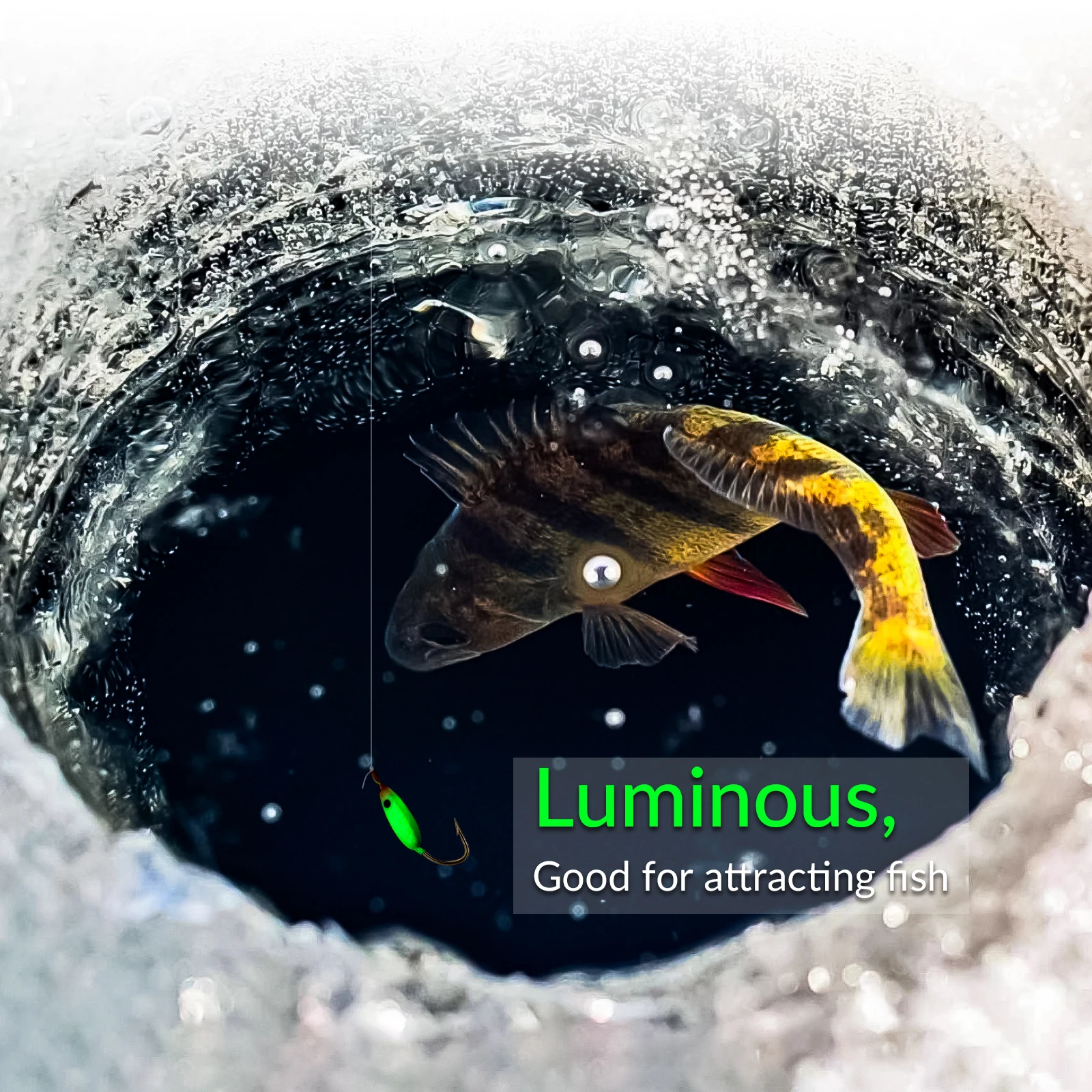 40 unids/caja Señuelos de Pesca, plantillas de pesca en hielo, equipo de pesca en hielo luminoso, plantillas tipo tipo bala, anzuelos para cabeza para invierno, señuelo de Jigging en hielo - imagen 3