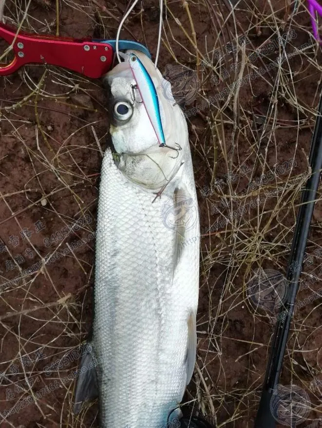 ZIPBAITS-Cebo de pez mandarín en forma de gancho, cebo flotante japonés de 9,5g, centro de gravedad magnética, alcance Ultra largo - imagen 4