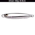 No hook-40g-Silver
