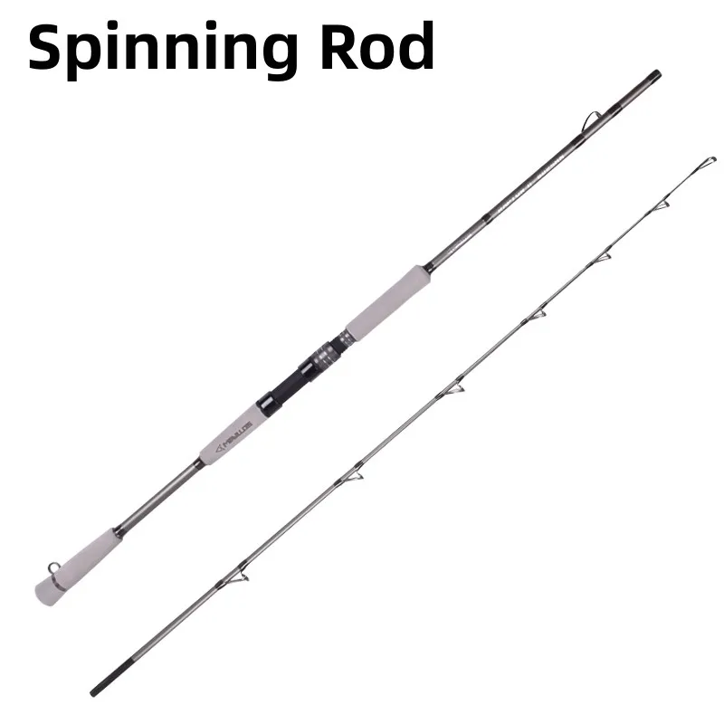 Spinning Rod