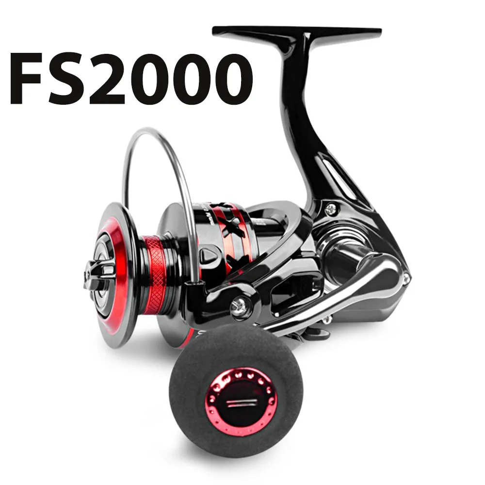 FS2000