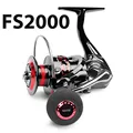 FS2000