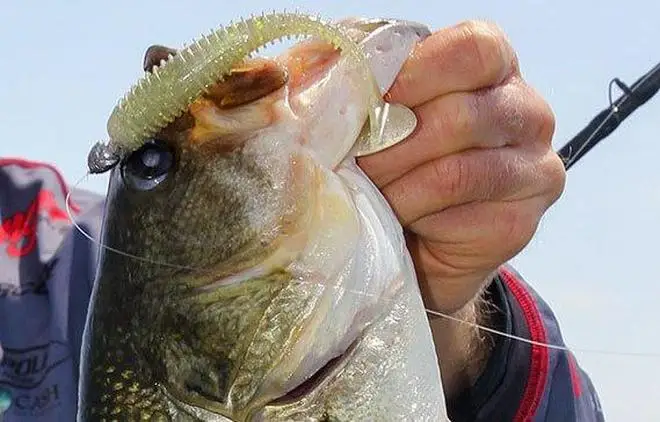 ¡Experimenta la emoción de la pesca con esta impresionante captura!