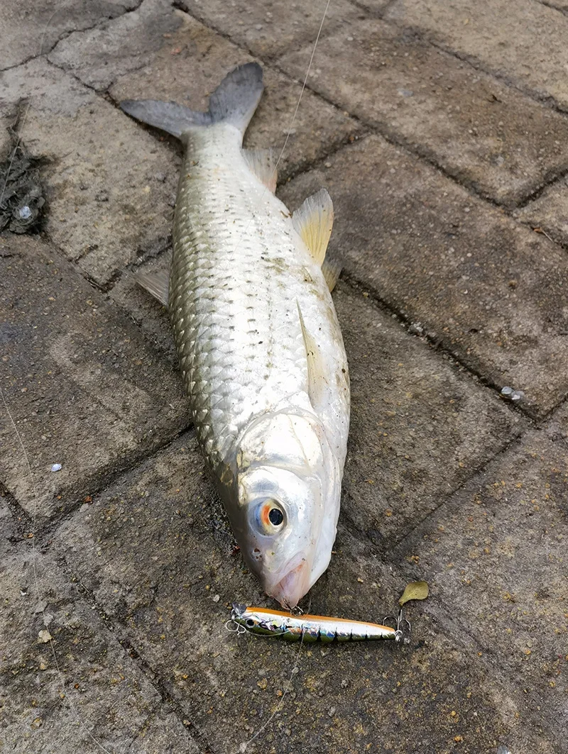Nuevo Señuelo de pesca de alta calidad, 7cm, 10g, lápiz que se hunde, sábalo de fundición larga, cebo Artificial, aparejos de Lucio - imagen 5