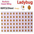 1pc Ladybug-O