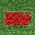 GD49 60PCS 03