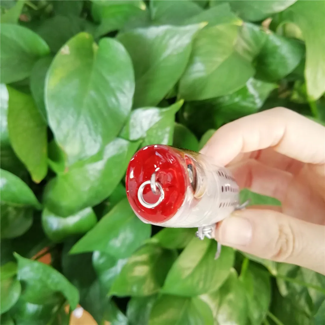 Mejore su contenido visual con vibrantes vibrantes vibrantes y objetos cautivadores