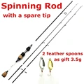 2 tips spinning rod
