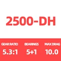 26 Freams 2500-DH