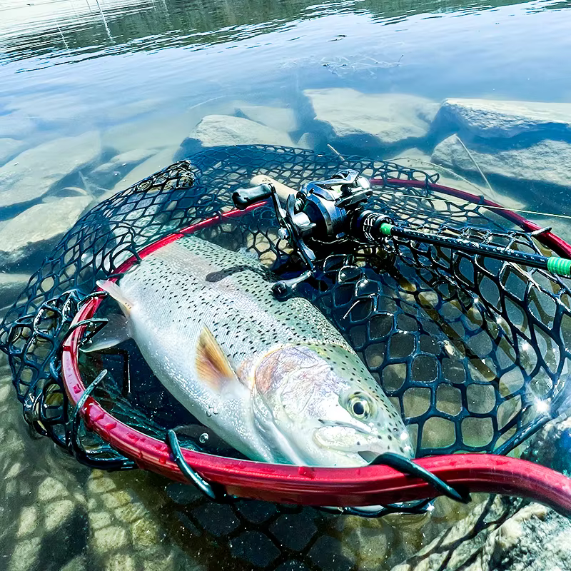 Histar Verdant Caña BFS – Corcho FUJI, carbono alto para pesca finesse - imagen 3