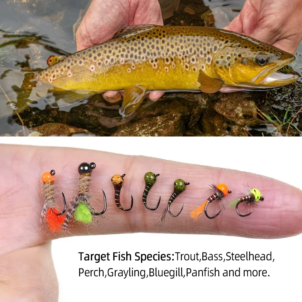 Wifreo 5 uds/6 uds cuentas de tungsteno oreja de liebre doblaje plantilla Ninfa mosca Offset cabeza de cuentas de tungsteno Perdigon Ninfa sin púas Universidad europea húmeda - imagen 5