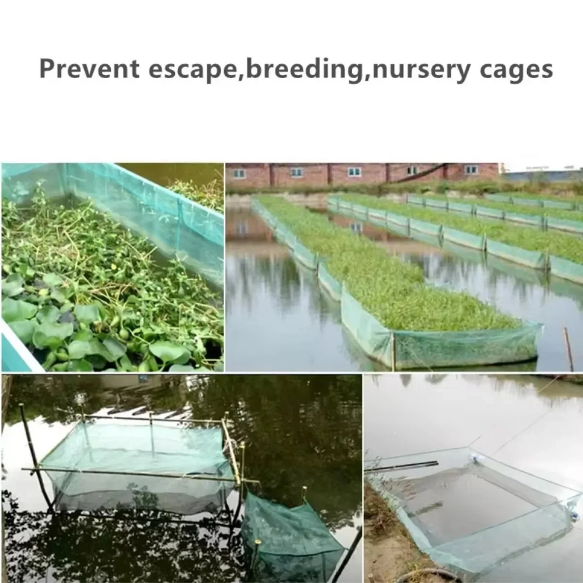 Red de cría de peces, redes de acuicultura, loach, jaulas de acuicultura, jaula de escape de cangrejos, accesorios, jaula de plantación de cultivo de peces - imagen 4