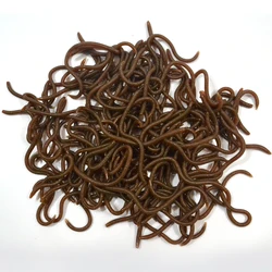 10 unids/lote 8cm cebo suave simulación lombriz mordida larva gusano suave especialmente olor señuelos aparejos artificiales