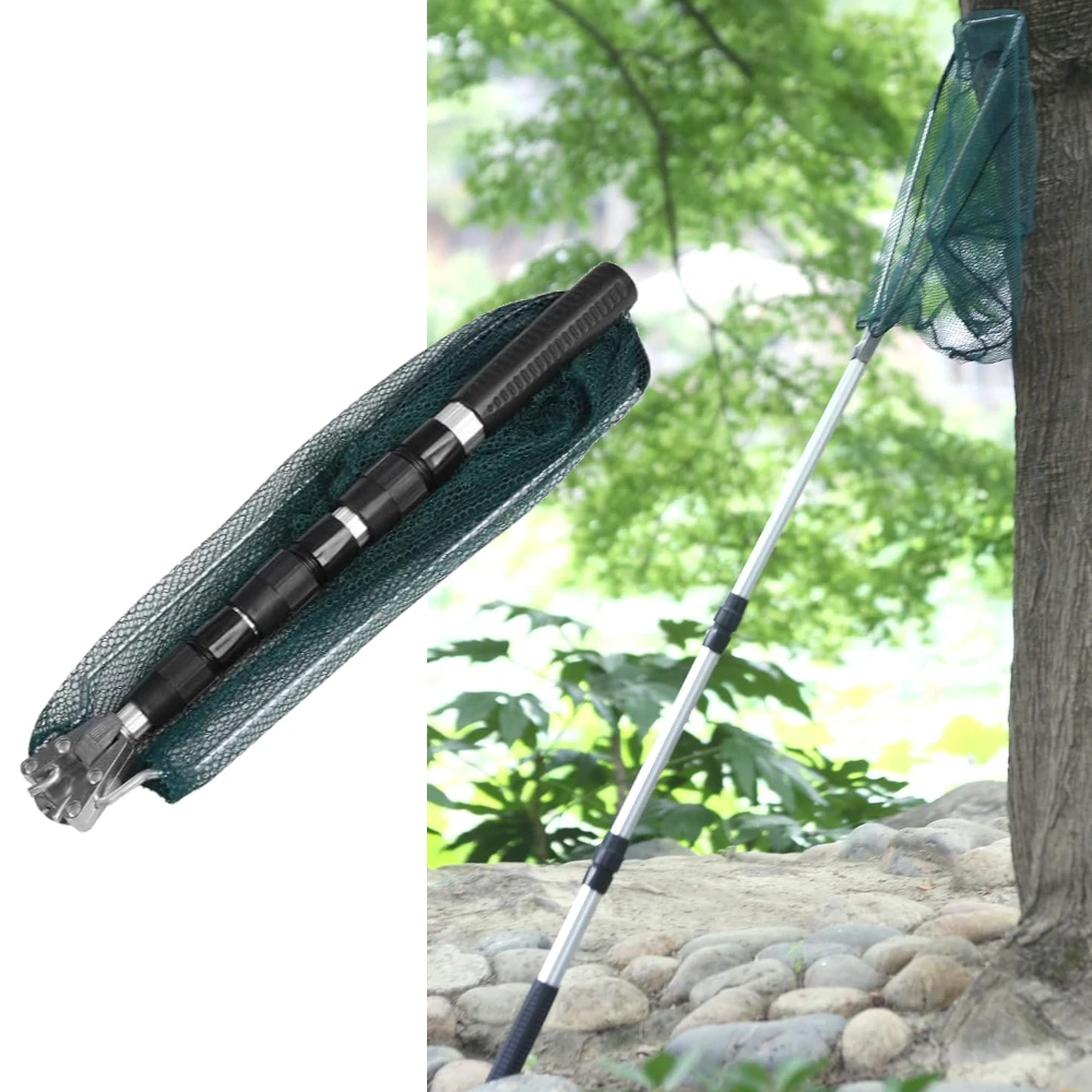 Salabardo telescópico de acero inoxidable – Plegable para pesca de carpa