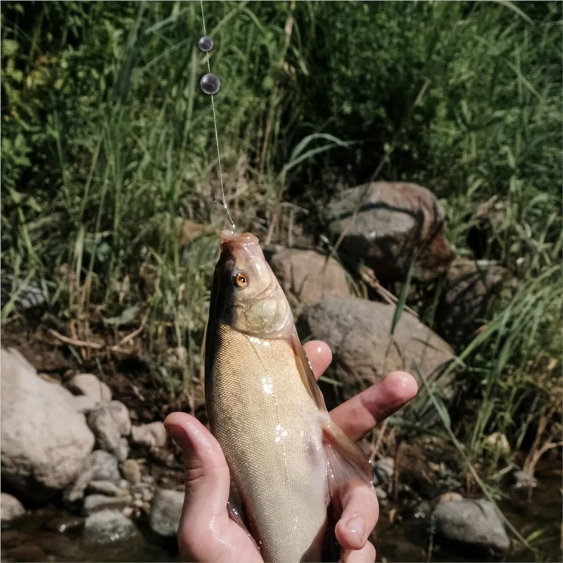Plomos de pesca distribuidos sobre superficie plana