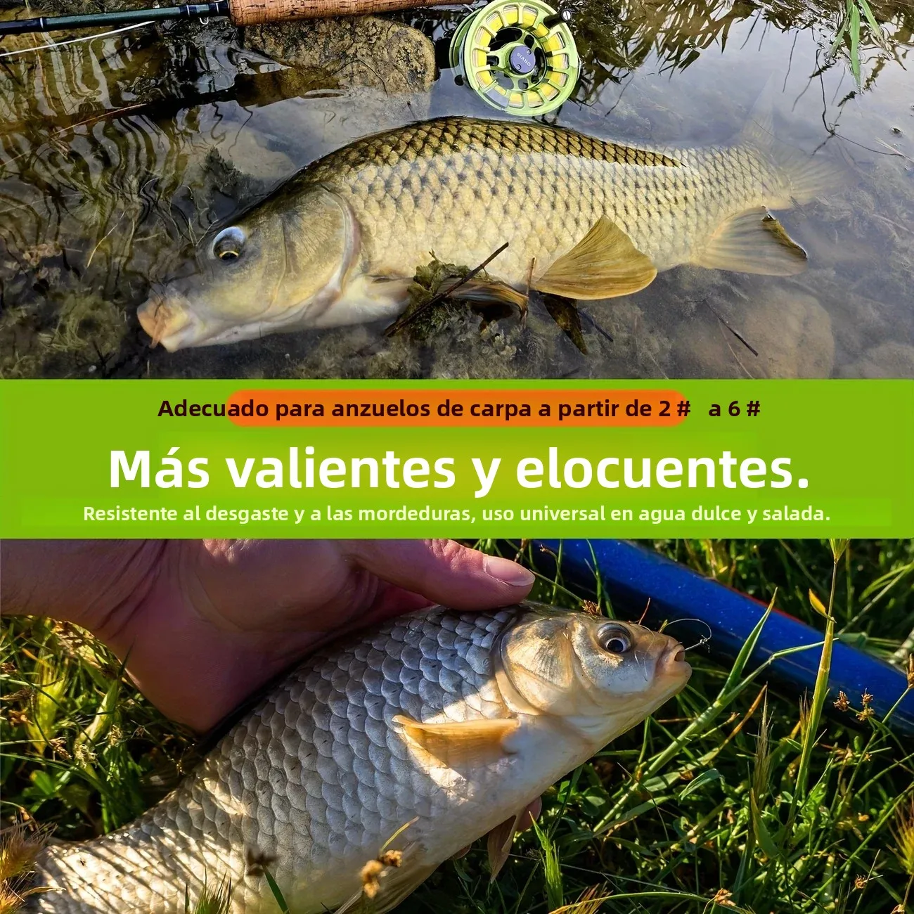 Aparejo carpa con fluorocarbono para método y cabello giratorio - imagen 4