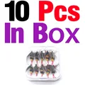10Pcs in Box