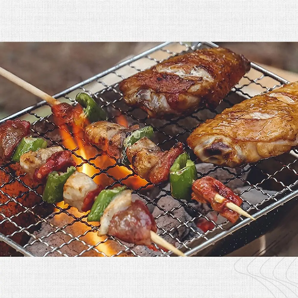 Parrilla de barbacoa plegable desmontable, estufa de barbacoa portátil de acero inoxidable, tipo tarjeta resistente al calor, estante para parrilla de barbacoa, fogata