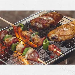 Parrilla de barbacoa plegable desmontable, estufa de barbacoa portátil de acero inoxidable, tipo tarjeta resistente al calor, estante para parrilla de barbacoa, fogata