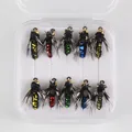 C 10PCS