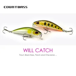 COUNTBASS Wobbler hundimiento – Señuelo de plástico duro para trucha