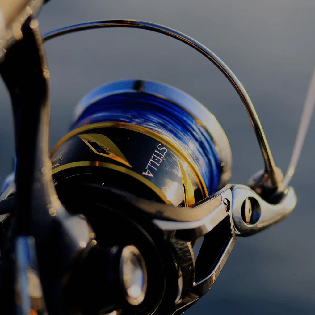 Shimano-carrete de pesca giratorio Stella SW, Original, para agua salada, 4000, 5000, 6000, x-ship, hecho en Japón - imagen 2