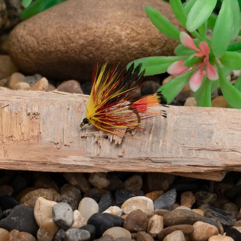 Bimoo-SEÑUELOS DE pesca con mosca húmeda, cebo de trucha, trucha, color amarillo y marrón, 6 piezas, #10 - imagen 5