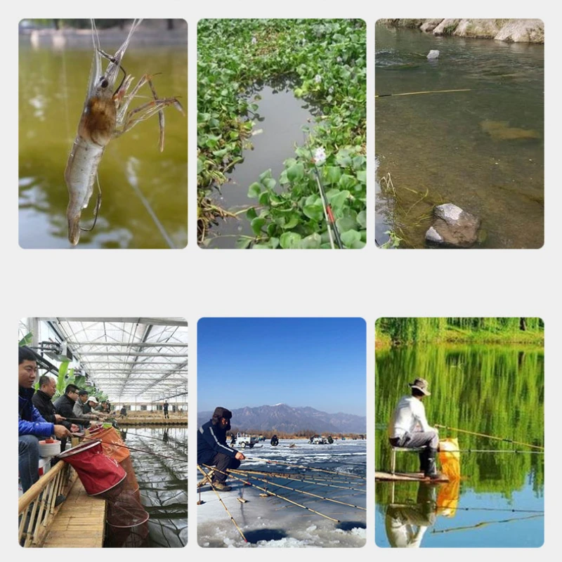 Flotador de pesca sensible, boya Vertical llamativa de pesca de carpa cruciana, Bold, pequeño, cola corta, 1 #-3 #, Invierno - imagen 5