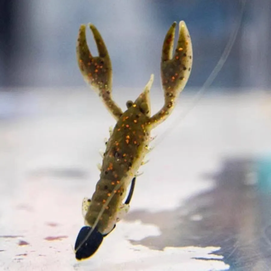 ZMAN Soft Bait 2,5 pulgadas TRD CRAWZ señuelo Camarón Bug importado de los Estados Unidos, Nedluya Fake - imagen 2