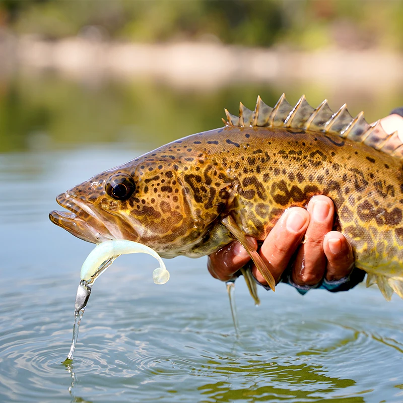 KINGDOM Señuelos blandos cebo de silicona 1,1g 1,6g 50mm 63mm señuelo de pesca Artificial Swimbait Wobblers aparejos de pesca de mar 16 Uds 20 piezas - imagen 5