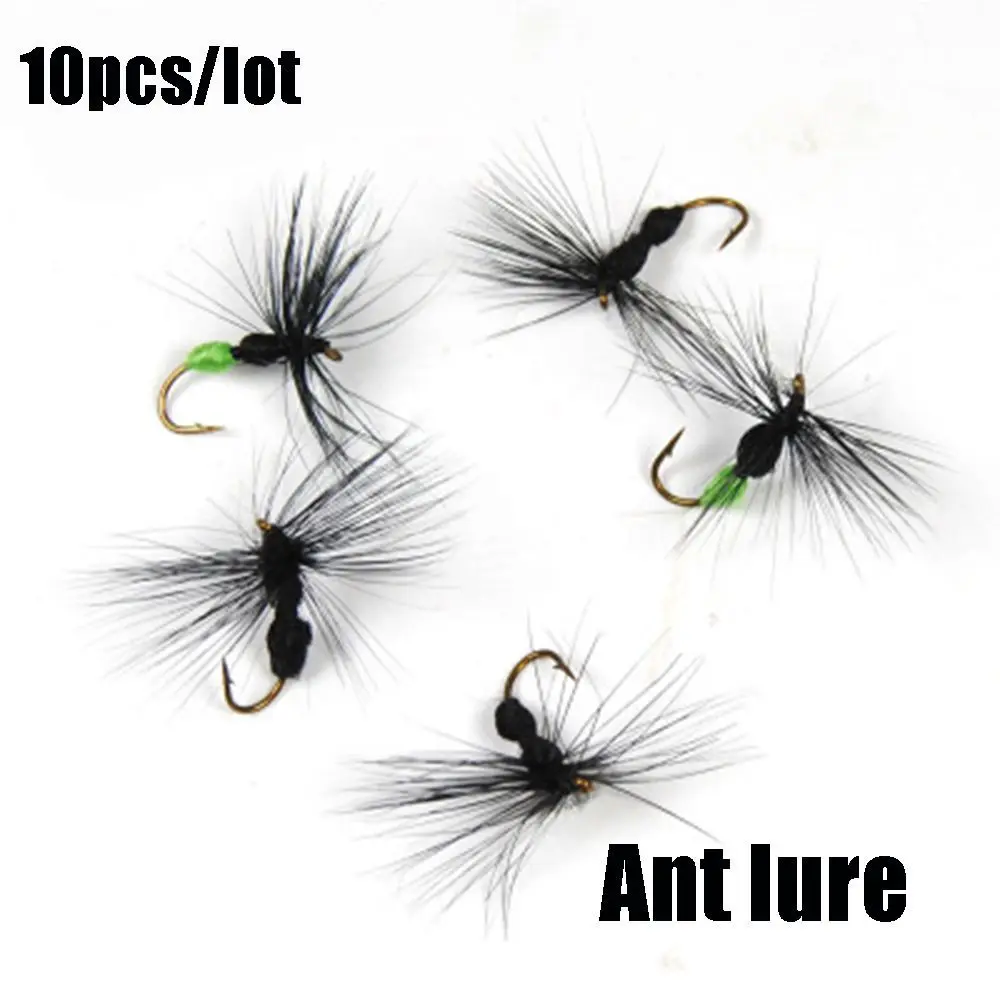 10PCS Ant