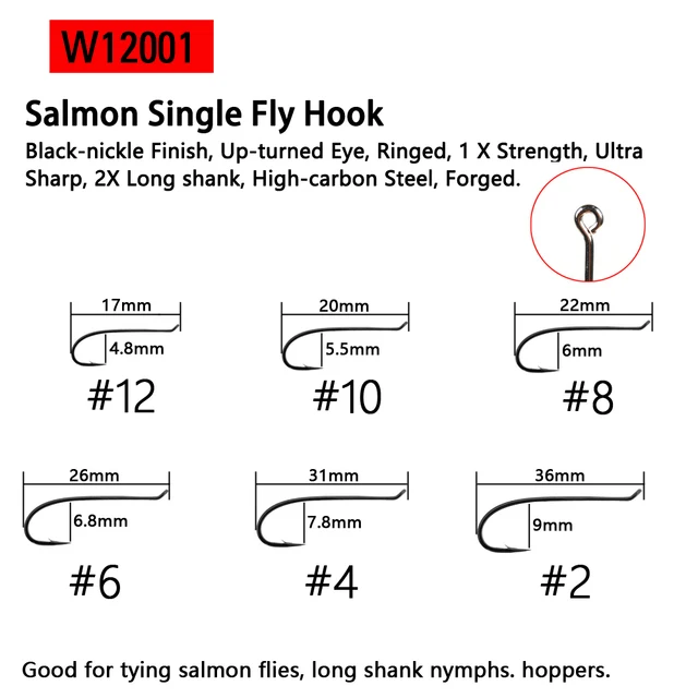 WY120011Salmon