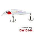 DW101-77SP-M