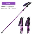 2Pcs Long Purple