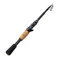 Casting Rod