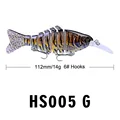 HS005-G
