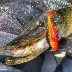 Señuelo de Pesca de silicona, 10 Uds., 6,5 cm, 12g, 9cm, 22g, Jig Wobbler, cebo suave para Lucio, sábalo, perca, Swimbait, aparejos de Pesca