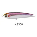 NS300
