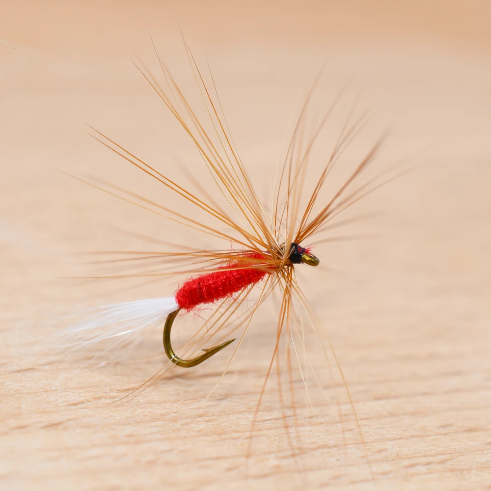 MNFT 10 piezas 10 #   Bionic Brown Hackle May Fly Red Body pesca trucha moscas secas insecto gancho cebo Artificial - imagen 3