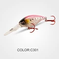 C301