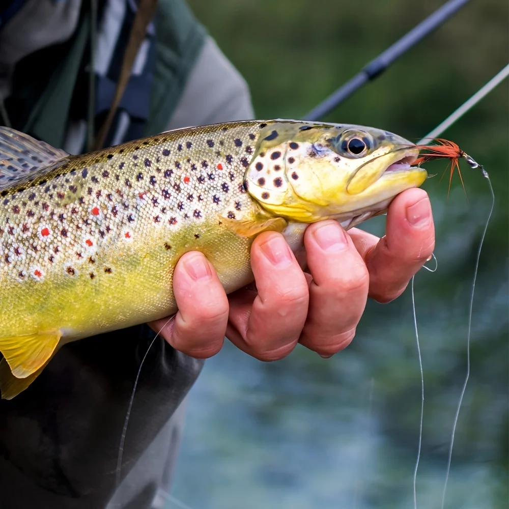 Kit Moscas Pesca Goture – Secas, Húmedas, Ninfas y Streamers