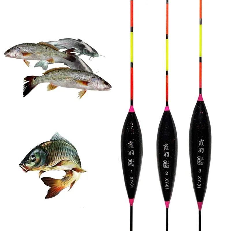 3 unids/set equipo flotante de Pesca deportes al aire libre flotadores de peces verticales conjunto de aparejos Pesca Señuelos de Pesca Accesorios - imagen 5