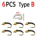 6pcs Type B