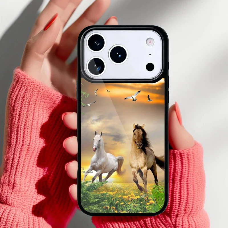 Detalle de compatibilidad con diferentes modelos de iPhone