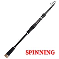Spinning Rod